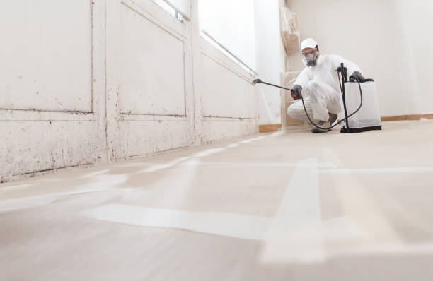 24/7 Emergency Mold Cleanup experts in Linden, TN